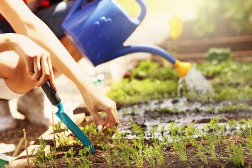 Docklands landscapers creating a refined urban garden