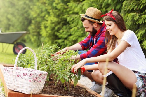 Landscape gardeners creating a modern Docklands outdoor space