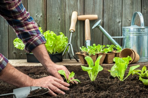 Garden maintenance service for Docklands residential and commercial properties