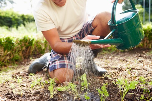 Edged and freshly mown lawn in Docklands