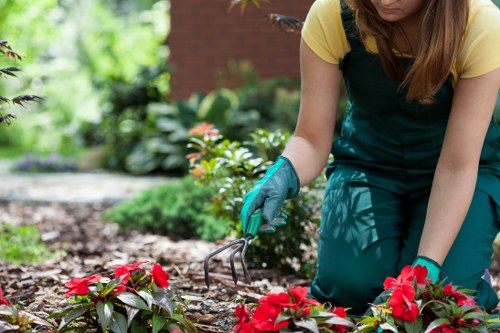 Soil preparation for flower bed creation in Docklands