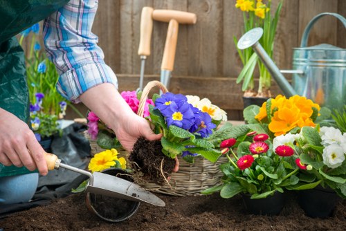 Planning a flower bed in a Docklands courtyard
