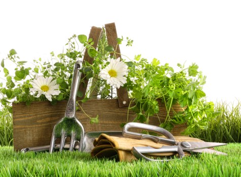 Outdoor patio maintenance and repair in Docklands