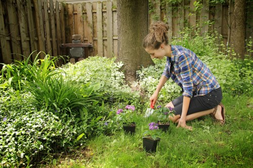 Professional grass cutting in a Docklands residential area