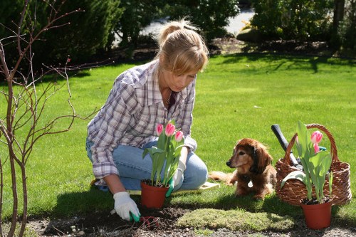 Team completing a tidy and controlled landscaping cleanup