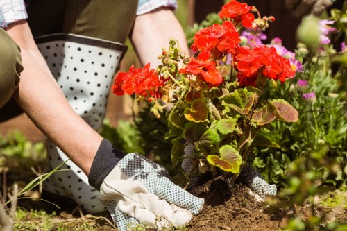 Site inspection for a landscaping service complaint