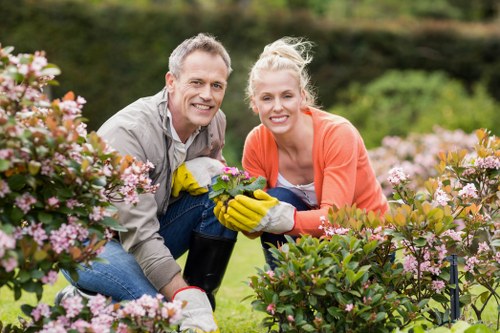 Eco-friendly garden clearance in Docklands with sorted green waste